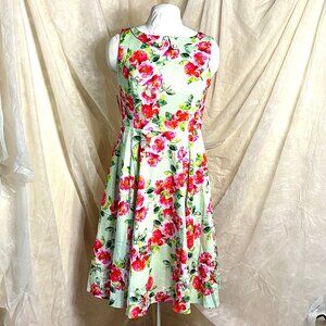 Hearts and Roses Melissa Floral Swing Dress, size Lar, pint roses on mint green